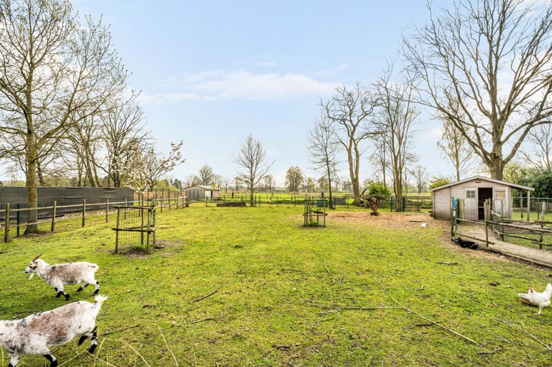 Exclusieve Villa te Lommel