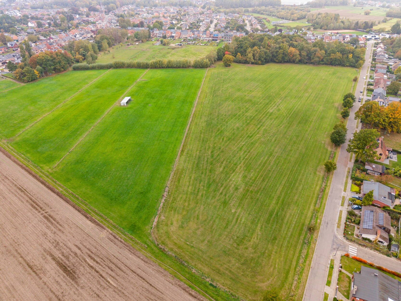 Grote weide te koop van circa 4,2 te 2830 Willlebroek