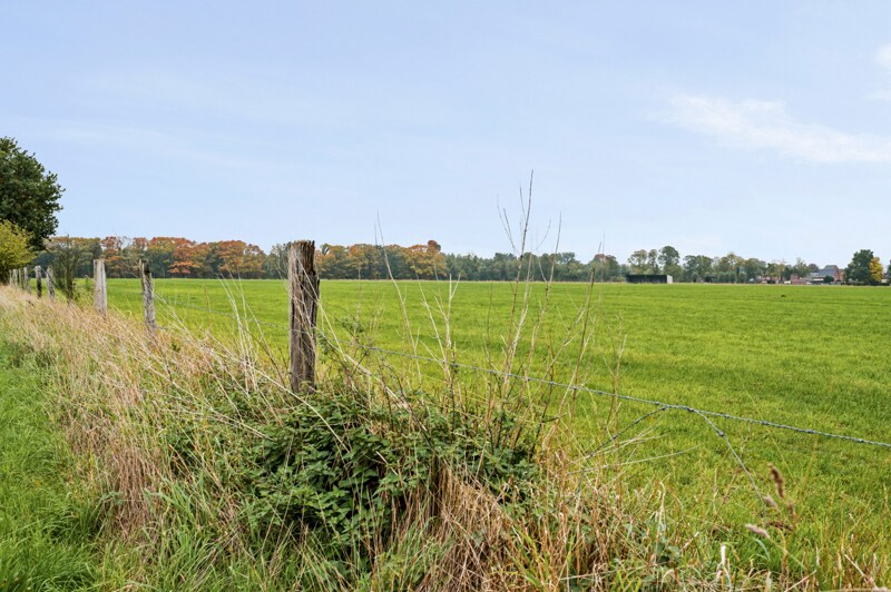 Grond te Willebroek