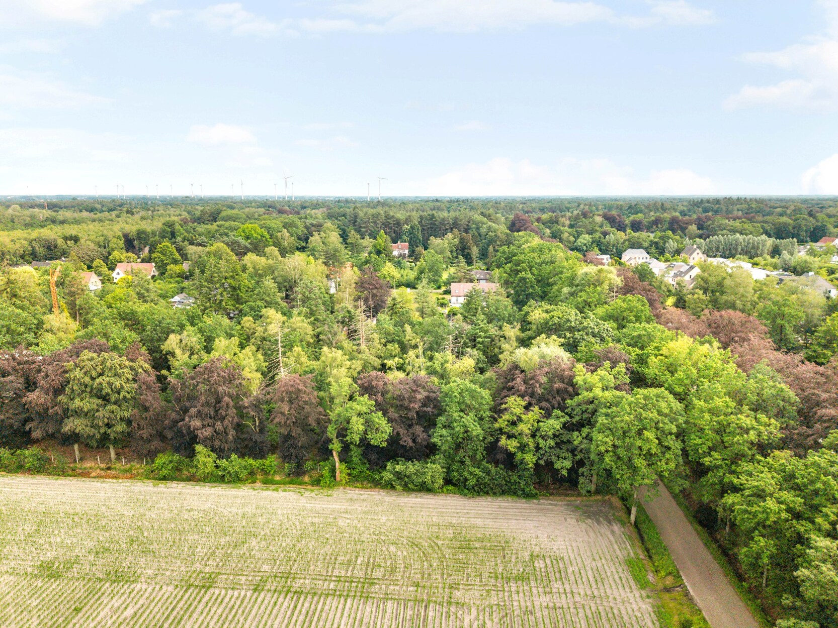 Bouwgrond van 1.991 m²