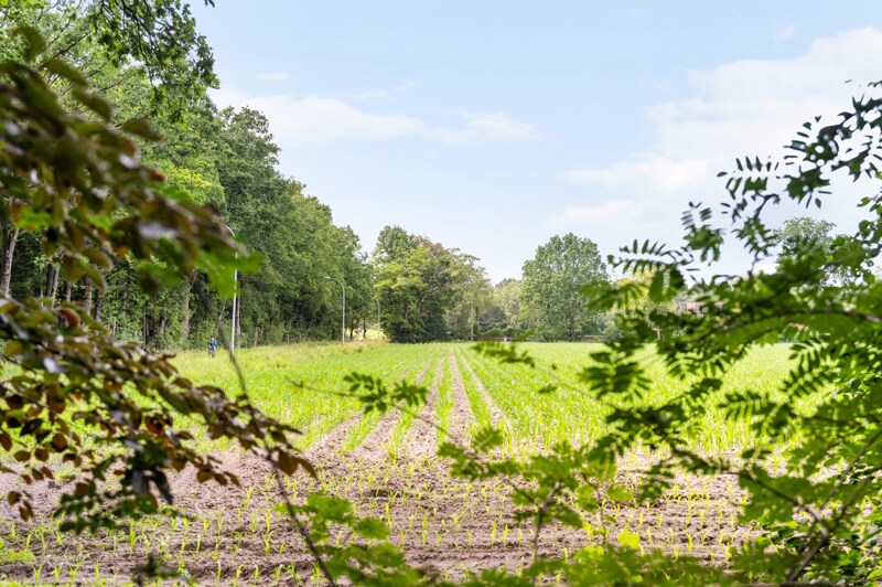 Grond te Oud-Turnhout