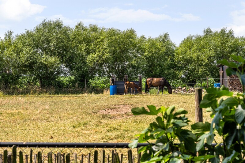 Woning te Hoogstraten