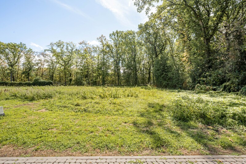 Grond te Hasselt