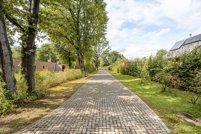 Grond te Hasselt