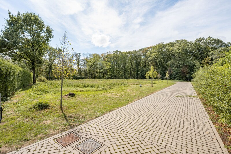 Grond te Hasselt
