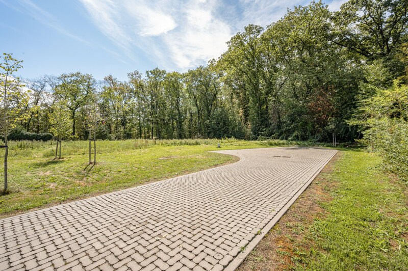 Grond te Hasselt