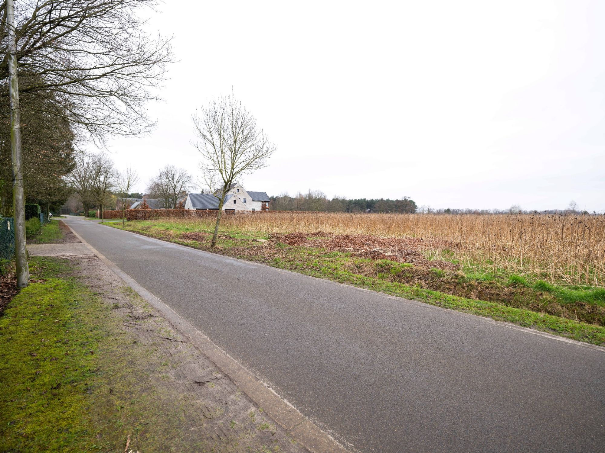 Bouwperceel met achterliggend agrarisch gebied met een totale